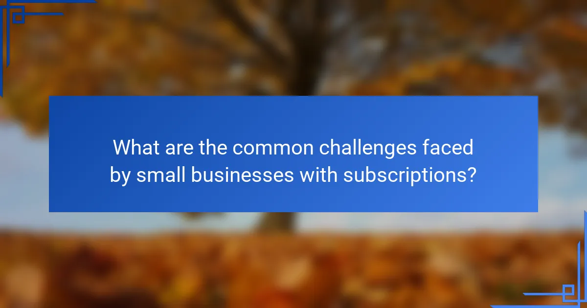 What are the common challenges faced by small businesses with subscriptions?